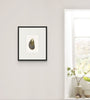 Mussel Shell No.7 (Original Framed Watercolour)