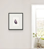 Mussel Shell No.8 (Original Framed Watercolour)