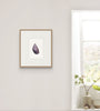 Mussel Shell No.8 (Original Framed Watercolour)