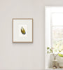 Mussel Shell No.1 (Original Framed Watercolour)