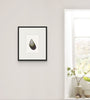 Mussel Shell No.9 (Original Framed Watercolour)