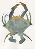 Island Crab I (Original Framed Watercolour)