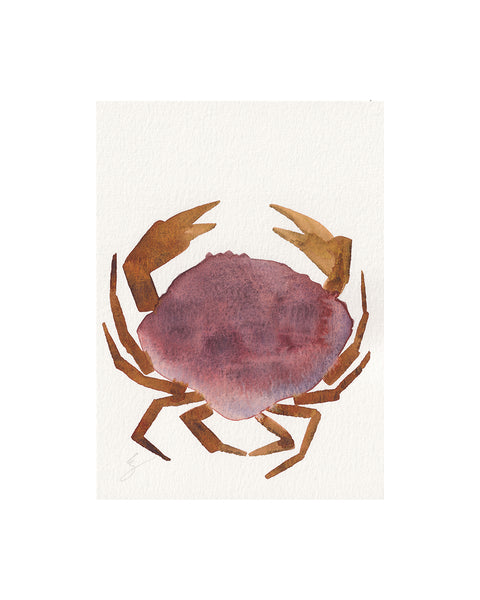 Island Crab II (Original Framed Watercolour)