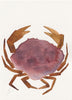 Island Crab II (Original Framed Watercolour)