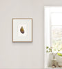 Mussel Shell No.2 (Original Framed Watercolour)