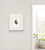 Mussel Shell No.2 (Original Framed Watercolour)