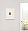 Mussel Shell No.2 (Original Framed Watercolour)