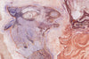 Catherine Parr (Plaster) (Original Framed Collagraph)