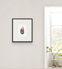 Mussel Shell No.3 (Original Framed Watercolour)