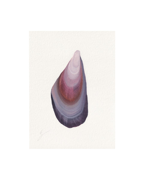 Mussel Shell No.3 (Original Framed Watercolour)