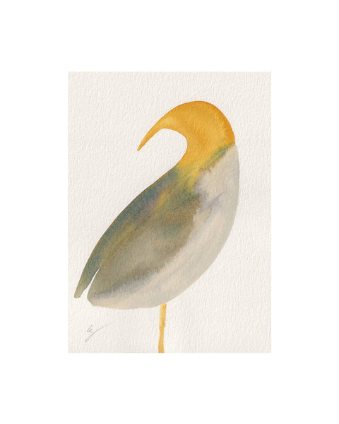 Foreshore Bird XV (Original Framed Watercolour)