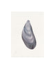 Mussel Shell No.5 (Original Framed Watercolour)