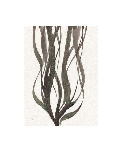 Island Seaweed VI (Original Framed Watercolour)