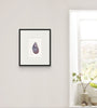 Mussel Shell No.6 (Original Framed Watercolour)