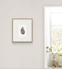 Mussel Shell No.6 (Original Framed Watercolour)