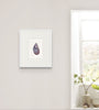 Mussel Shell No.6 (Original Framed Watercolour)