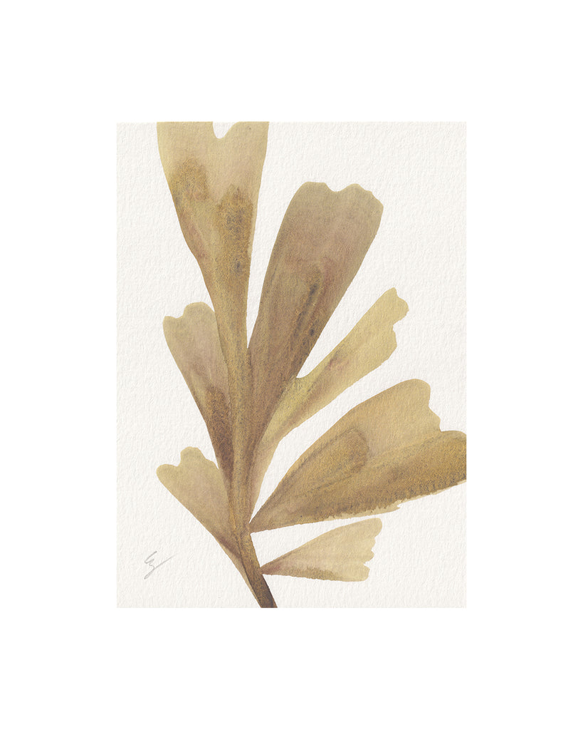 Island Seaweed XV (Original Framed Watercolour)