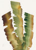 Seaweed Ribbons I (Original Framed Watercolour)