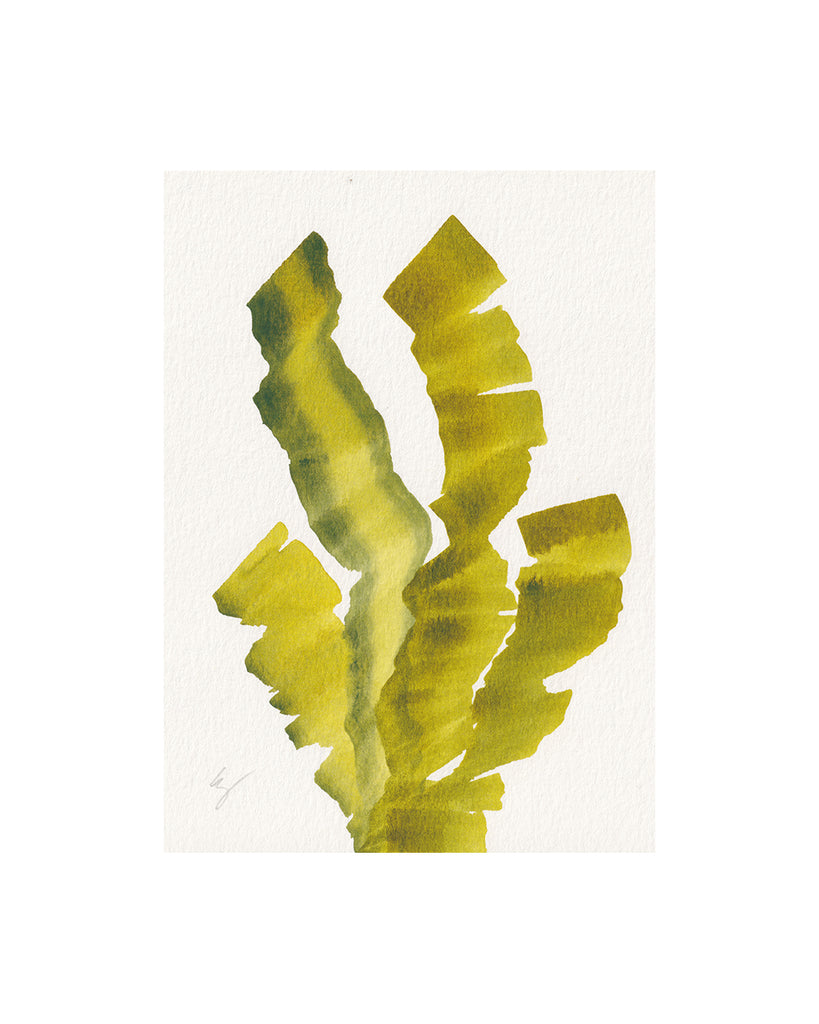 Seaweed Ribbons IV (Original Framed Watercolour)