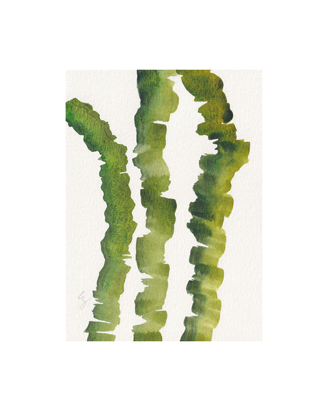 Seaweed Ribbons V (Original Framed Watercolour)