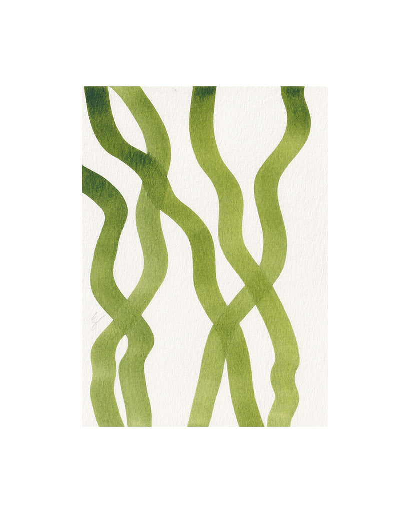 Seaweed Ribbons VI (Original Framed Watercolour)