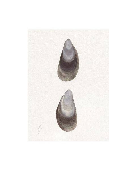 Pair of Mussel Shells II (Original Framed Watercolour)