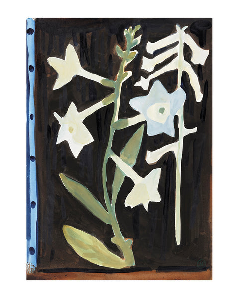 Moth's Dream, Nicotiana (Large Limited Edition Print)