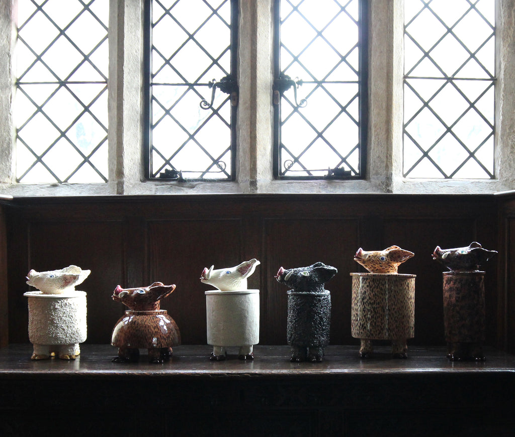 THE BEAST'S APOTHECARY