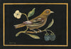 Bird with Blackberries (Original Painted Panel)