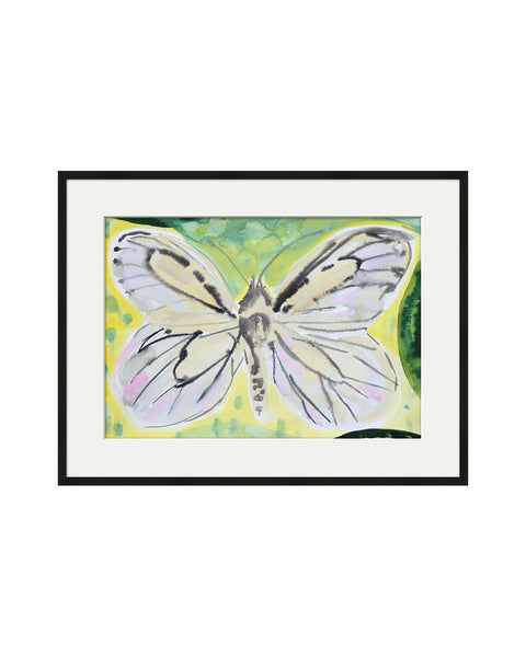 Black Veined White Butterfly (Original Framed Painting)