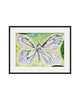Black Veined White Butterfly (Original Framed Painting)