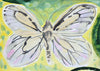 Black Veined White Butterfly (Original Framed Painting)