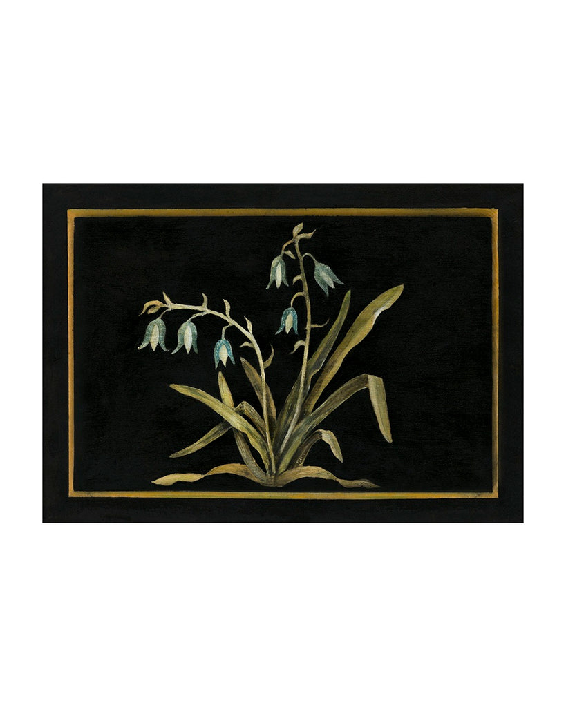 Bluebells (Limited Edition Print)