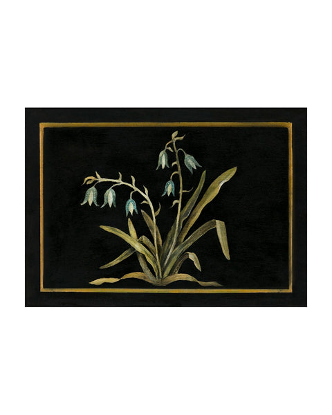 Bluebells (Limited Edition Print)