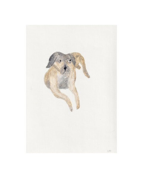 Border Terrier (Framed Original)