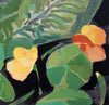 Cabbage Love (Original Oil Painting)