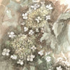 Climbing Hydrangea (Original Framed Painting)