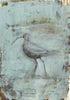 Curlew (Original Framed Painting)