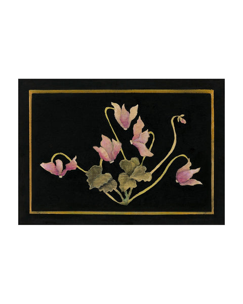 Cyclamen, Lilac White (Limited Edition Print)