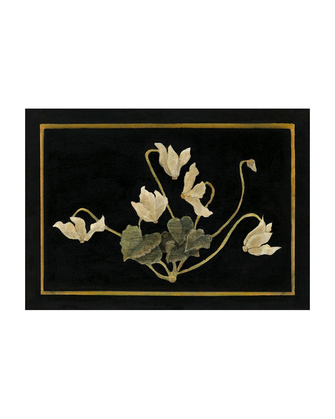 Cyclamen, Winter White (Limited Edition Print)