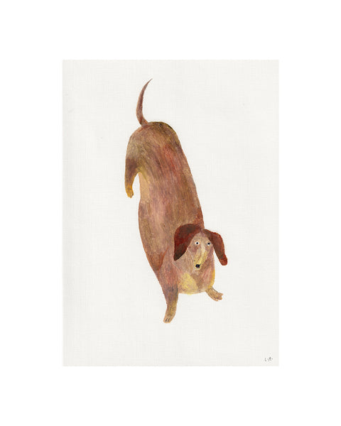 Dachshund (Framed Original)