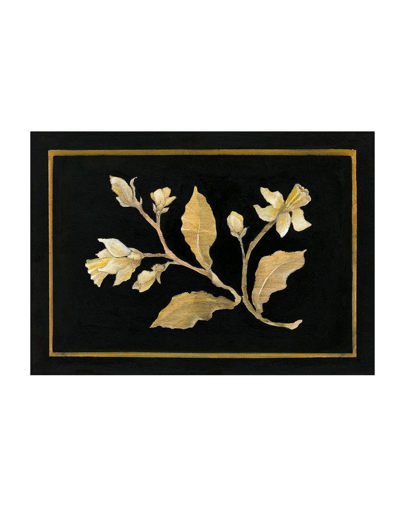 Daffodil No.1 (Limited Edition Print)