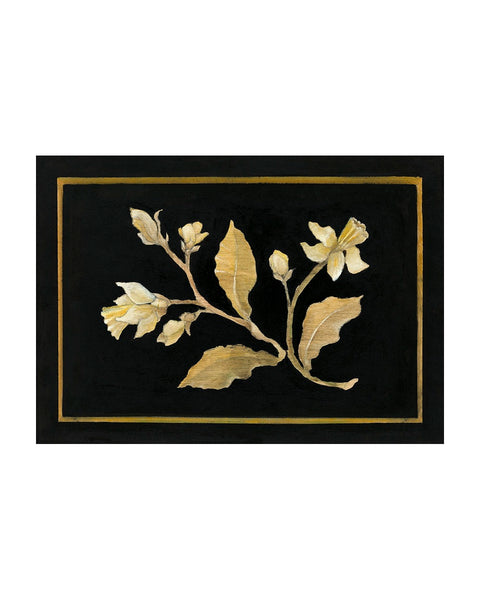 Daffodil No.1 (Limited Edition Print)