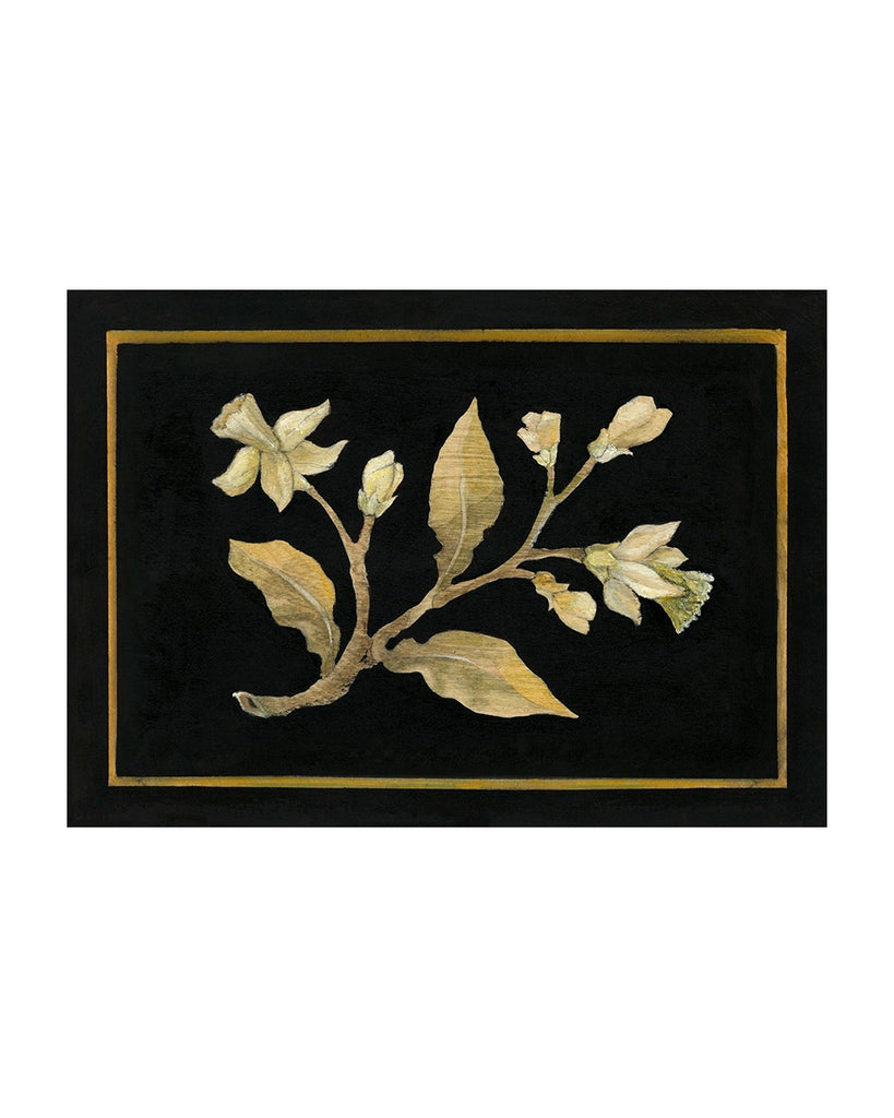 Daffodil No.2 (Limited Edition Print)