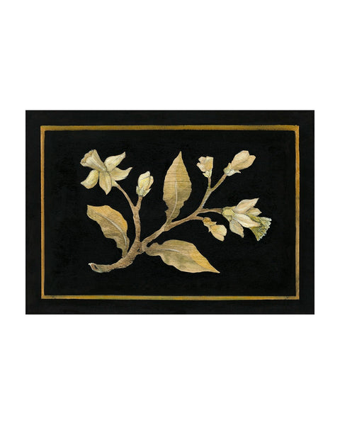 Daffodil No.2 (Limited Edition Print)