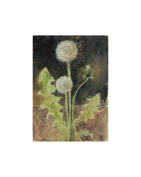 Dandelion Seed Heads (Original Painted Panel)