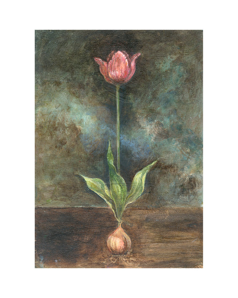 Dutch Tulip (Limited Edition Print)