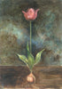 Dutch Tulip (Original Painted Panel)