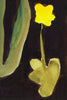 Early Tulip & Buttercup (Original Framed Painting)
