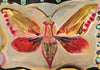 Elephant Hawk Moth (Original Framed Painting)